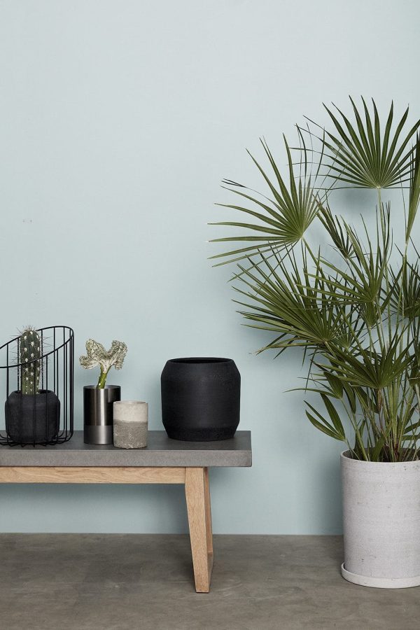 En minimalistisk indendørs scene med en betonbænk med en sort skål, små potteplanter og dekorative genstande ved siden af en designermøbel palmeplante mod en gråblå væg.