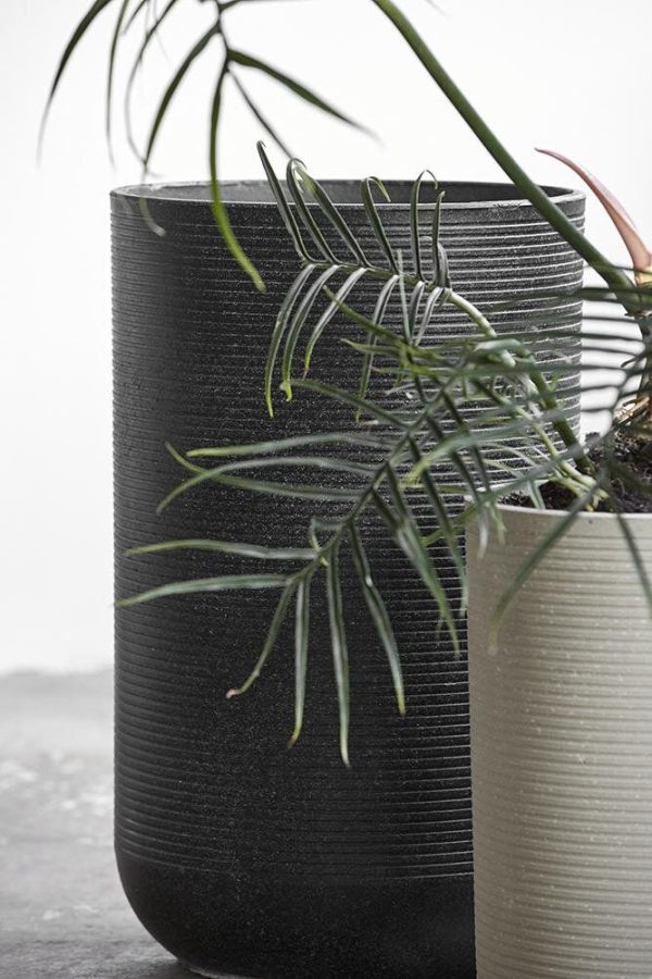 To teksturerede designmøbler-plantepotter, en sort og en hvid, med en palmelignende plante, der vælter ud over kanterne, sat mod en almindelig, lys baggrund.