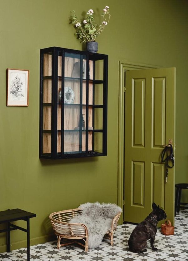 En stilfuld grøn entré med en rattanstol med grå pels, en sort hund, der leger med et stykke legetøj, geometriske gulvfliser, et monteret skab i glas foran og en grøn dør fra TomorrowsDesign.