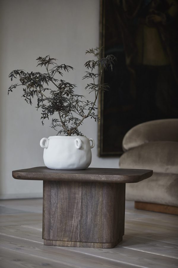 Et bonsaitræ med sarte, vidtstrakte grene vises i en hvid, rund potte på et træbord. Indstillingen byder på minimalistisk indretning af TomorrowsDesign med en blød beige lænestol og et stort abstrakt maleri i baggrunden.