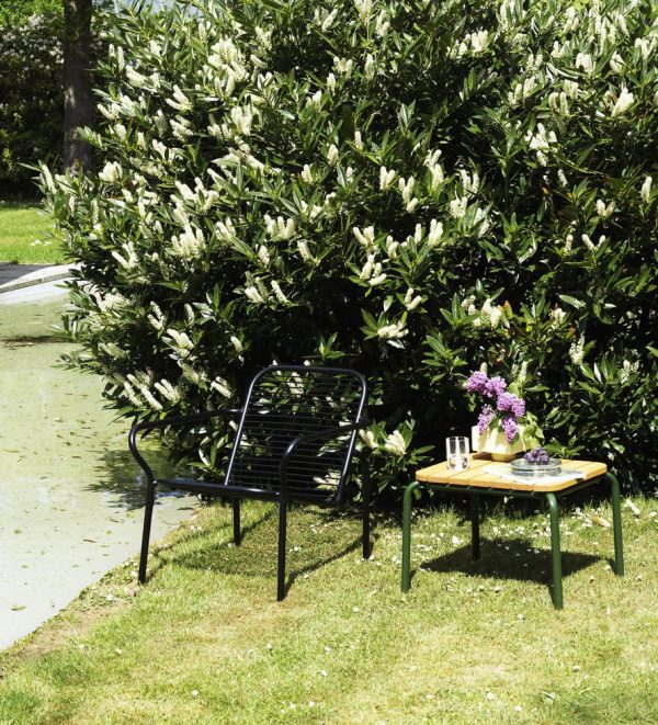 En sort NORMANN COPENHAGEN - Vig Loungestol og et lille bord med forfriskninger ved siden af en stor blomstrende busk i solrige havemiljøer.